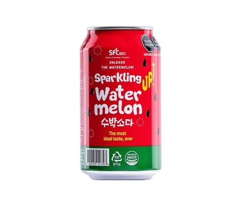 Sparkling Water Melon Flavour Soda (350 ml)